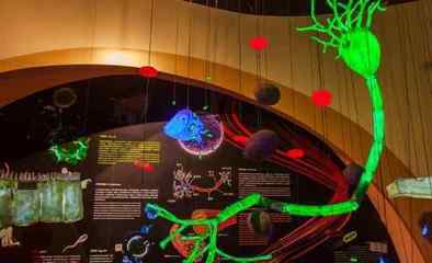 朱元晨與秦莉 在“造夢科技”的工廠里編織未來